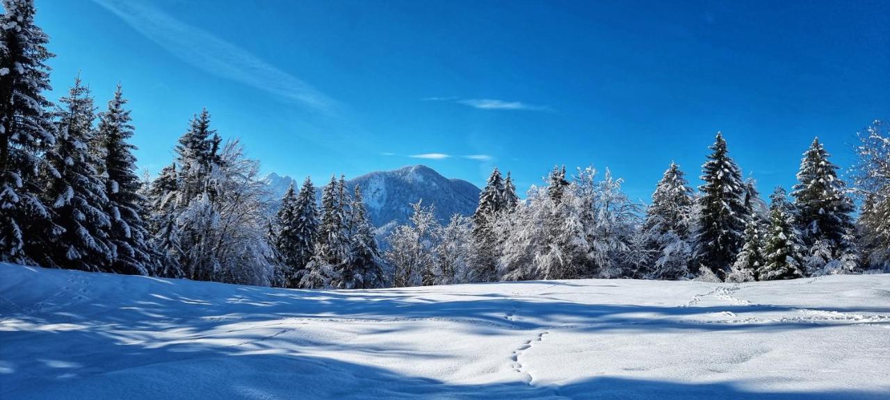 Apartma Ursic Kranjska Gora Luaran gambar